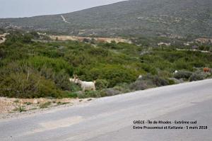 062- Tour de l'ile de Rhodes